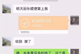 蕲春为什么选择专业追讨公司来处理您的债务纠纷？